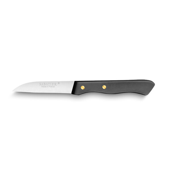 generalgas c aujourd hui knife SAB 197110 Sabatier