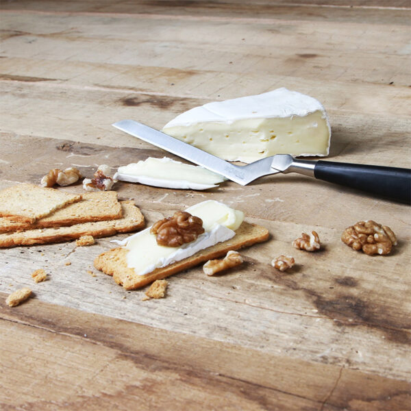 generalgas cheese knife 307414 boska holland 3